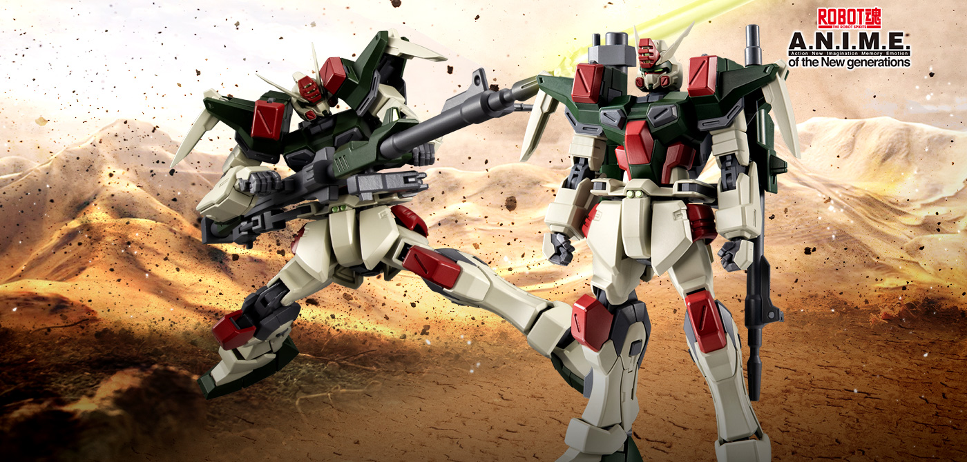 機動戦士ガンダムSEED (アクション)フィギュア ROBOT魂 ver. A.N.I.M.E.(ロボットダマシイ バージョンアニメ) ＜SIDE MS＞ GAT-X103 バスターガンダム ver. A.N.I.M.E.