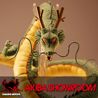 特設サイト 【AKIBAショールーム】10月20日発売！「S.H.Figuarts 神龍」タッチ＆トライレポート公開！
