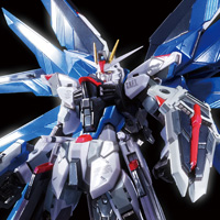 METAL BUILD フリーダムガンダム プリズムコートVer.