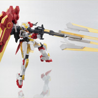 ROBOT魂 <SIDE MS> エクストリームガンダム オプションセット
