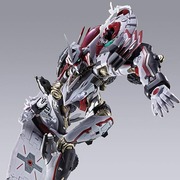 ニルヴァーシュ type ZERO RS
