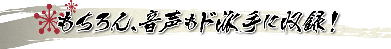 もちろん、音声もド派手に収録！