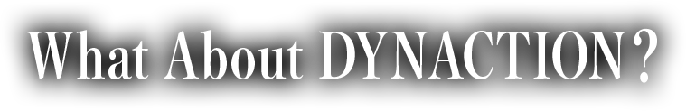 What About DYNACTION？