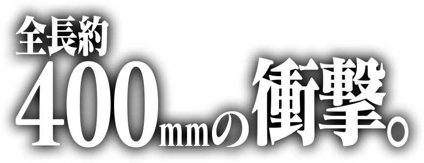 全長約400mmの衝撃。