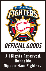FIGHTERS