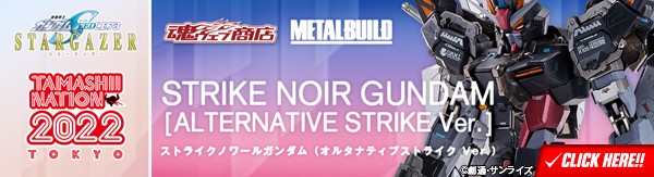 【抽選販売】METAL BUILD ストライクノワールガンダム （オルタナティブストライク Ver.）（事後販売）